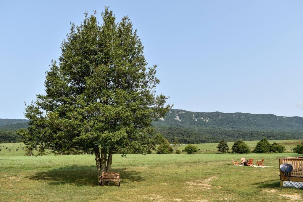 Holly Tree Retreat Located In Beautiful Luray, Va. Villa Eksteriør bilde