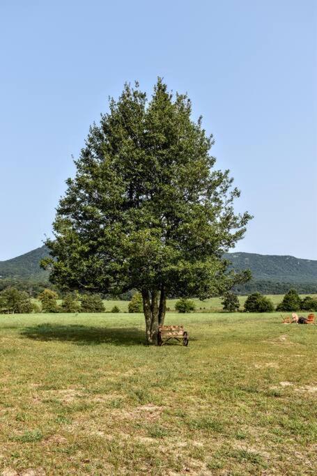 Holly Tree Retreat Located In Beautiful Luray, Va. Villa Eksteriør bilde