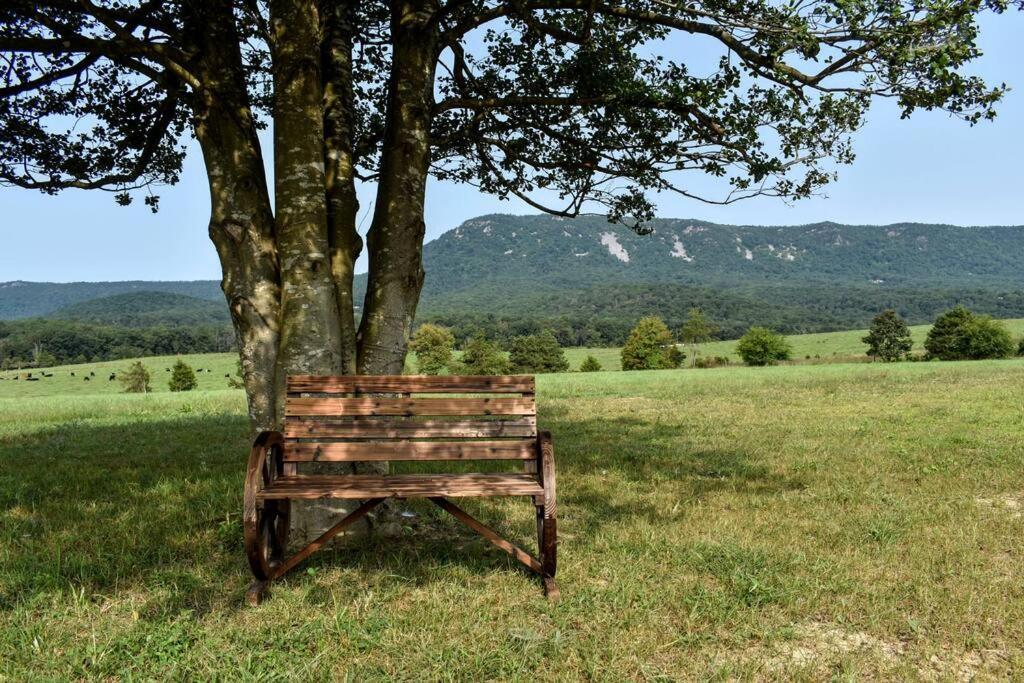 Holly Tree Retreat Located In Beautiful Luray, Va. Villa Eksteriør bilde