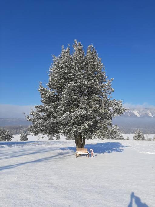 Holly Tree Retreat Located In Beautiful Luray, Va. Villa Eksteriør bilde