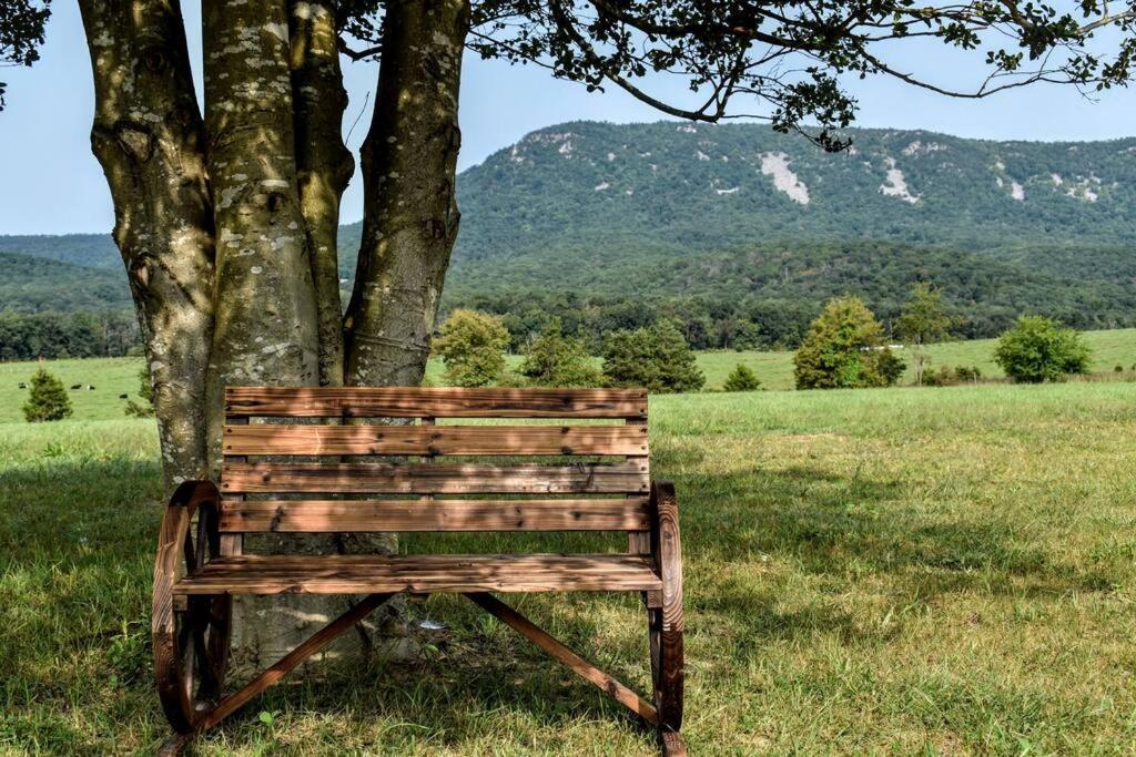 Holly Tree Retreat Located In Beautiful Luray, Va. Villa Eksteriør bilde