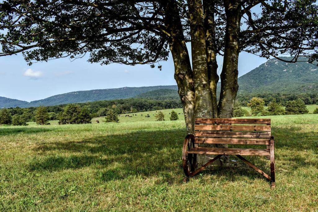 Holly Tree Retreat Located In Beautiful Luray, Va. Villa Eksteriør bilde