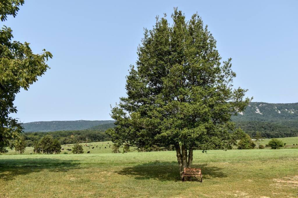Holly Tree Retreat Located In Beautiful Luray, Va. Villa Eksteriør bilde